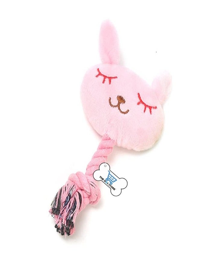 THE DDS STORE Plush Dog Toys - Squeaky Soft chew Toy Durable, Interactive Toys for Puppy (Rabbit (Length - 5 Inch)) - Image 1